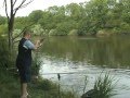video image
