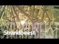 Strandbeest in Hibiya