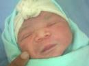 wafeeq 06 wafeeq 06
