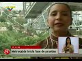 Metrocable prueba.wmv