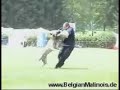 Peter Scherk, Bendix vom Adlerauge, Malinois Championat DMC