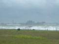 videos de Leaving Gandoca P.4