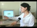 GeoGebra na M�dia