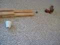 Rube Goldberg Experiment