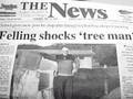 The Snow Gum Tree - Original Song