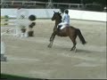 CSIO4* Lipica (SLO) 2008 part1 CSIO4* Lipica (SLO) 2008 part1