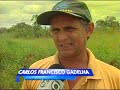 Desmatamento na Amaz�nia - Jornal Nacional