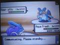 videos de D/P Wi-Fi Battle:yamborski