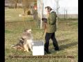 Environmental Canine Services LLC