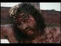 Ver Video