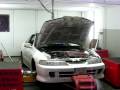 videos de taz's teg