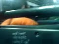 slipknot malay on the bus mat mat