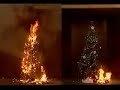 a demonstration showing how flammable a dry christmas tree can be as opposed to a tree watered regularly.  this test was conducted by the national fire protection association and underwriters laboratories.  for more information: http://www.nfpa.org/categorylist.asp?categoryid=296&url=research%20&%20reports/fact%20sheets/seasonal%20safety/christmas%20tree%20fires