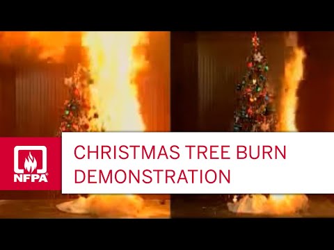 how to keep a christmas tree from drying out