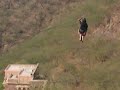zipping in neemrana