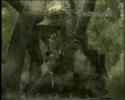 Australian army Australian army