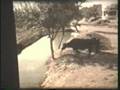 Mediterranean Cruise 1976 - MTS JASON - Egypt & Greek Islands PART 1/2