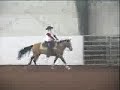 Double R Shot 1997 AQHA gelding Double R Shot 1997 AQHA gelding