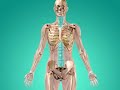 Consequences of Fractures (Health Short)