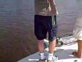 shark attack southwest florida everglades