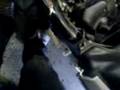 videos de orginal moppe