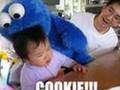 funny pics