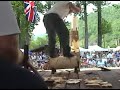websters springs 2006 underhand chop