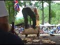 websters springs 2006 underhand chop