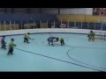 AIHA Hockey PeeWee 2003 State Finals Part One