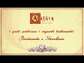 Shirodhara - Avatara | Ayurvedic Therapies