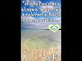si no te hubieras ido mana