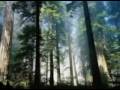 Schubert - Serenade