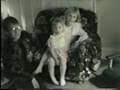 videos de Lumley Home Video #1