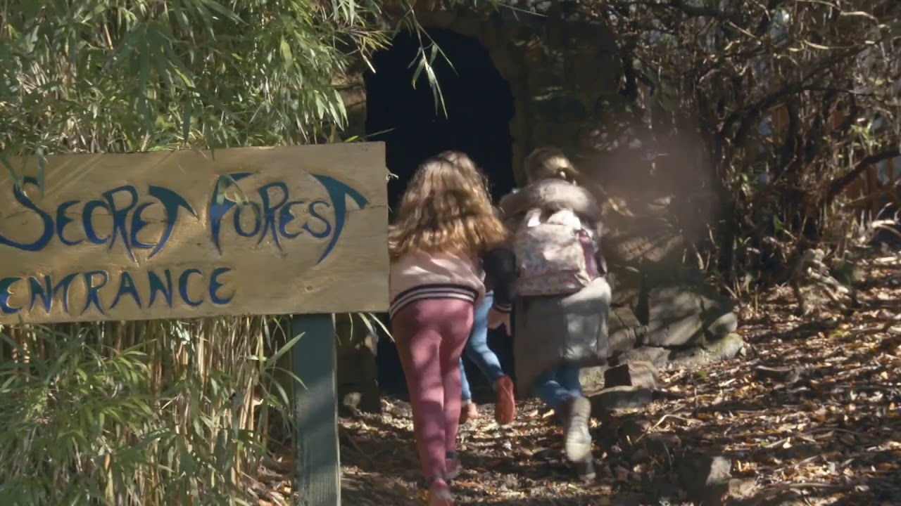 The Secret Forest