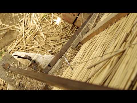 See video