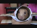 hamster panics/panique du hamster hamster panics/panique du hamster