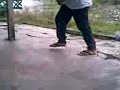 pipit shuffle