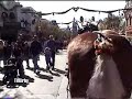 Disneyland Horse Drawn Streetcar