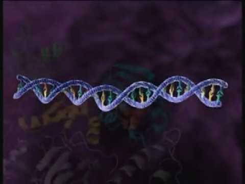 how to treat dna with rnase