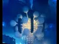 Sensation White 2008, Amsterdam Arena