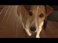 Test Slowmotion Sony Z7