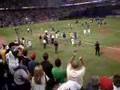 2006 division champs minnesota twins.