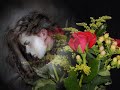 Jose Parra - mira que bonita eres