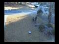 videos de rake leaves_avi_better.avi