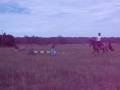 videos de Falcon's Malteser showjumping tyres
