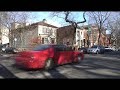 In search of Lincoln Park Trixies - Part two