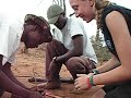 elephant poo fire