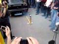 avto show gornja radgona