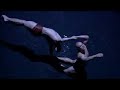 Le Reve - Vegas Shows- Wynn Las Vegas