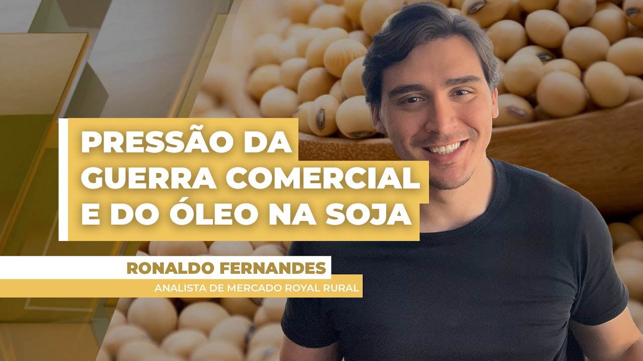 Soja recua mais de 1% em Chicago nesta 2a feira com guerra comercial, macroeconomia e despencada ...